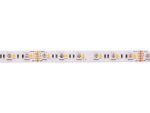 LED juosta 24V 19.2W/m nehermetiška IP20, RGB+WW, padidinto efektyvumo, PREMIUM AKTO